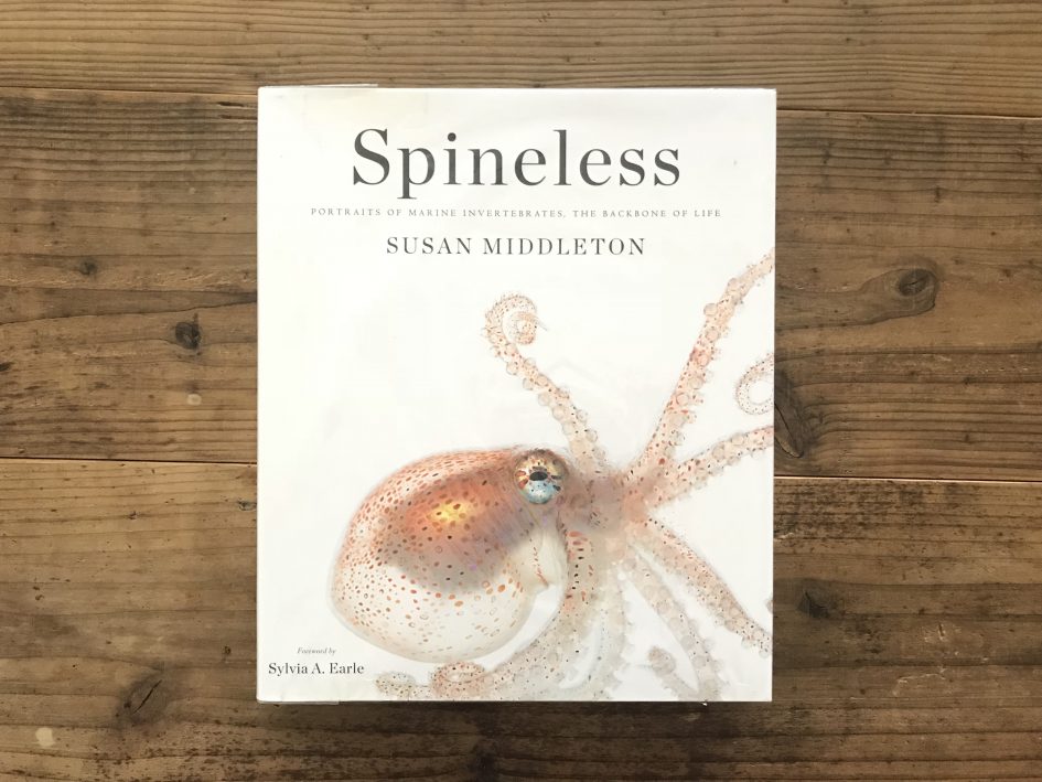 Spineless : 海の美しい無脊椎動物